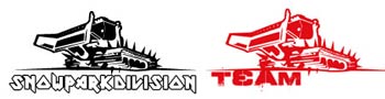 Snowpark Division Team