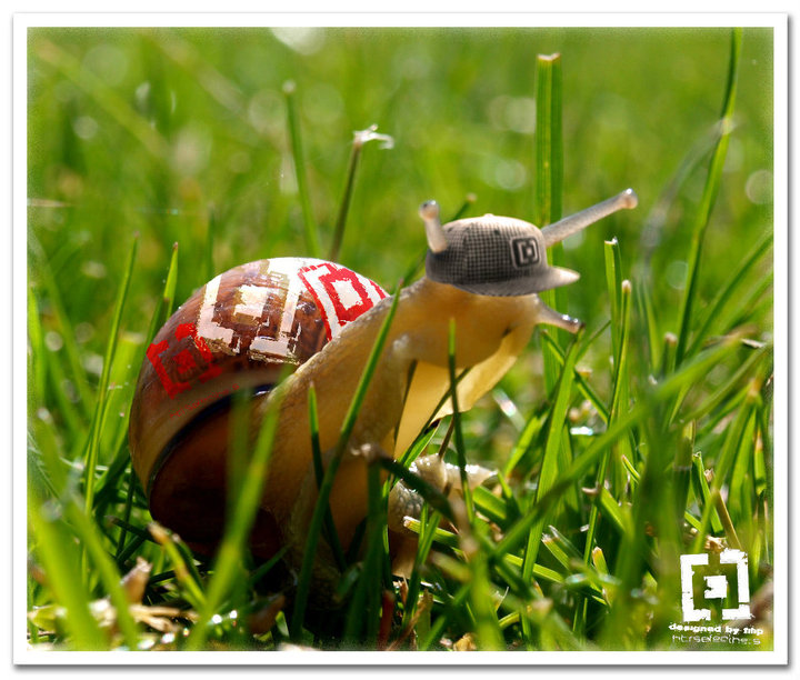 http://www.boardbox.tv/ftp/notifotos/catchlogo2.jpg