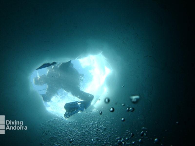 http://www.boardbox.tv/ftp/notifotos/diving.jpg